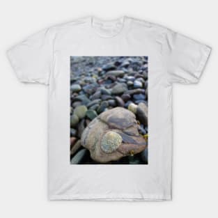 Limpet on a Stony Shore T-Shirt